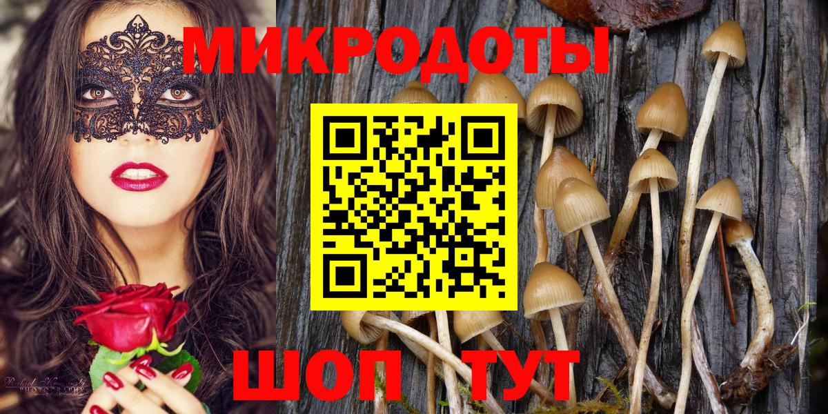 Дзержинский  Галлюциногенные грибы мицелий  Вход с VPN 