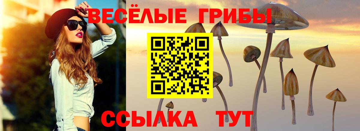 Псилоцибиновые грибы мухоморы Дзержинский